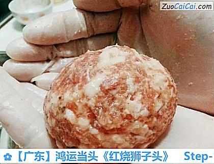 ［广东］鸿运当头《红烧狮子头》做法第十一步骤