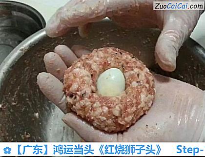 ［广东］鸿运当头《红烧狮子头》做法第十二步骤