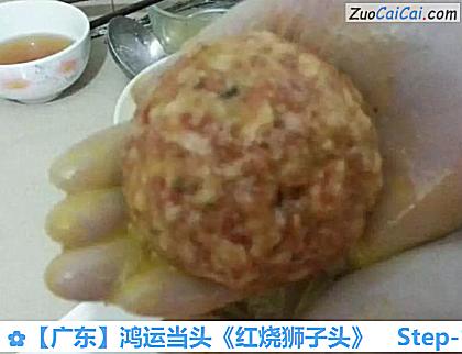 ［广东］鸿运当头《红烧狮子头》做法第十四步骤