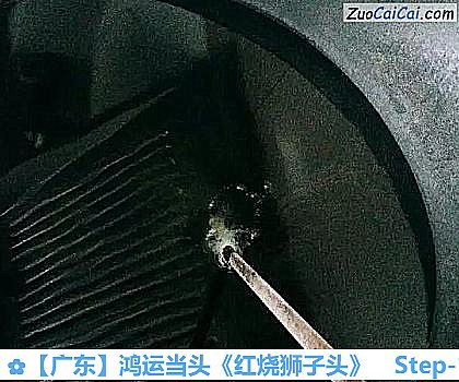 ［广东］鸿运当头《红烧狮子头》做法第十五步骤