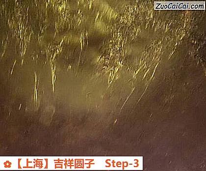 ［上海］吉祥圆子做法第三步骤