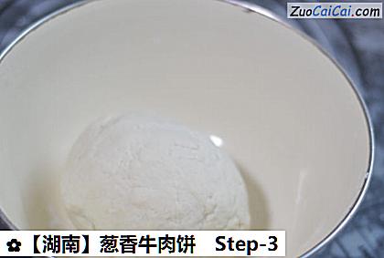葱香牛肉饼做法第三步骤