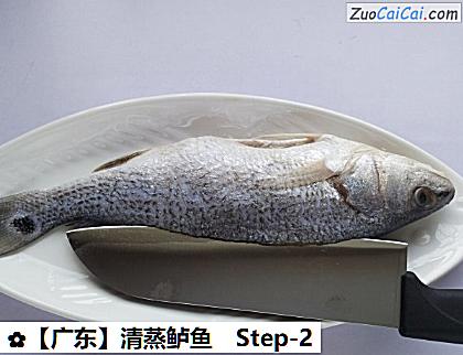 清蒸鲈鱼做法第二步骤