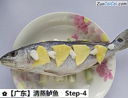 清蒸鲈鱼做法第四步骤