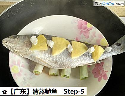 清蒸鲈鱼做法第五步骤