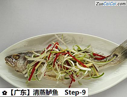 清蒸鲈鱼做法第九步骤