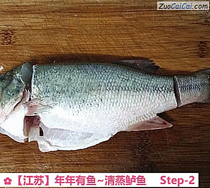 年年有鱼~清蒸鲈鱼做法第二步骤