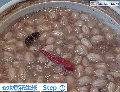 水煮花生米做法第三步骤