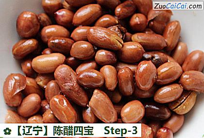 陈醋四宝做法第三步骤