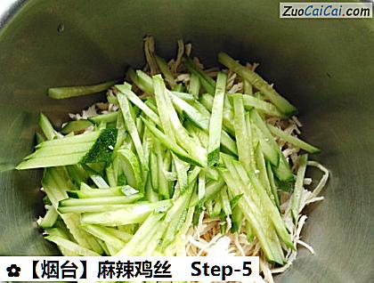 麻辣鸡丝做法第五步骤