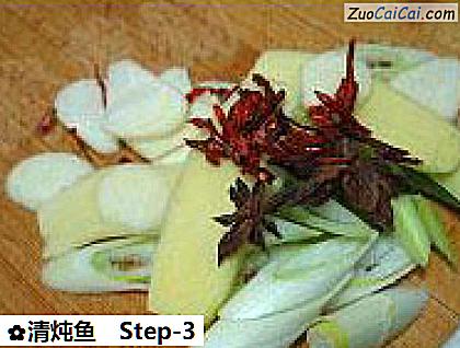 清炖鱼做法第三步骤