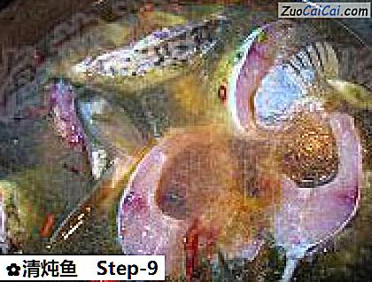 清炖鱼做法第九步骤