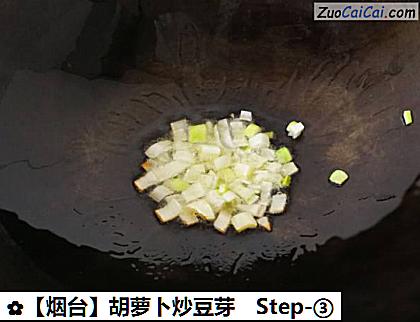胡萝卜炒豆芽做法第三步骤