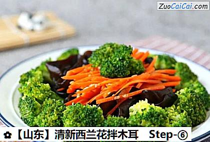 清新西兰花拌木耳做法第六步骤