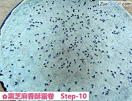 黑芝麻香酥蛋卷做法第十步骤