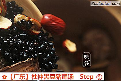 杜仲黑豆猪尾汤做法第五步骤