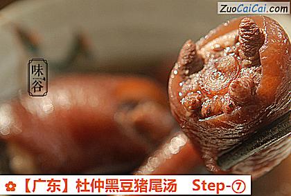杜仲黑豆猪尾汤做法第七步骤