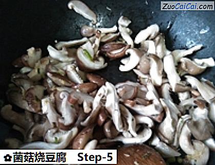 菌菇烧豆腐做法第五步骤