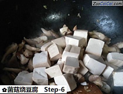 菌菇烧豆腐做法第六步骤