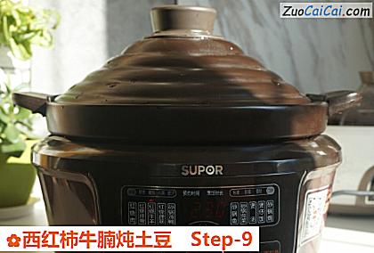 西红柿牛腩炖土豆做法第九步骤