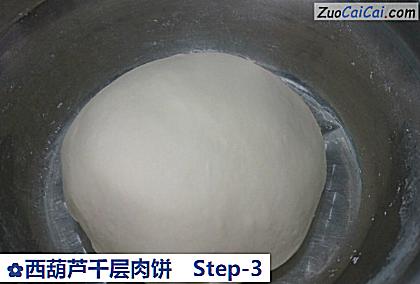 西葫芦千层肉饼做法第三步骤