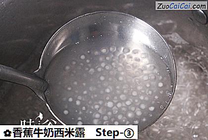 香蕉牛奶西米露做法第三步骤