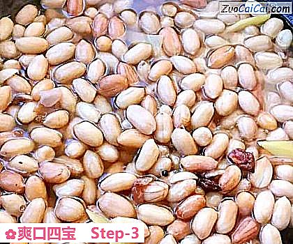 爽口四宝做法第三步骤