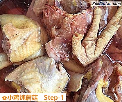 小鸡炖蘑菇做法第一步骤