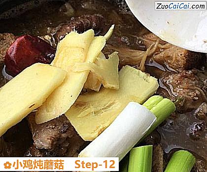 小鸡炖蘑菇做法第十二步骤