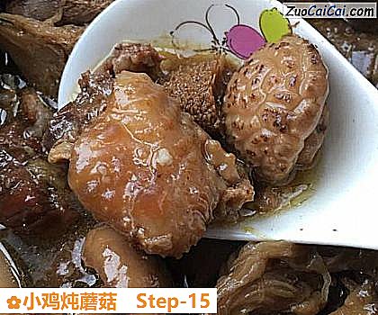 小鸡炖蘑菇做法第十五步骤
