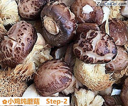 小鸡炖蘑菇做法第二步骤