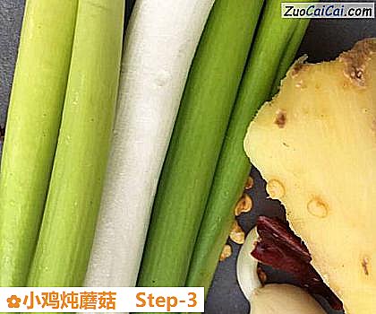 小鸡炖蘑菇做法第三步骤