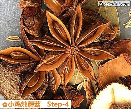 小鸡炖蘑菇做法第四步骤