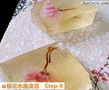 樱花水晶皮冻做法第九步骤