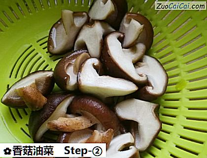 香菇油菜做法第二步骤