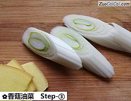 香菇油菜做法第三步骤