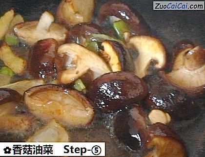 香菇油菜做法第五步骤