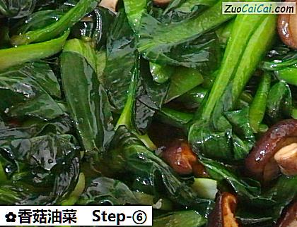 香菇油菜做法第六步骤