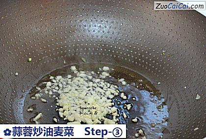 蒜蓉炒油麦菜做法第三步骤