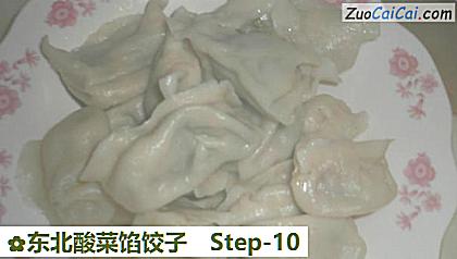 东北酸菜馅饺子做法第十步骤