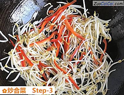炒合菜做法第三步骤