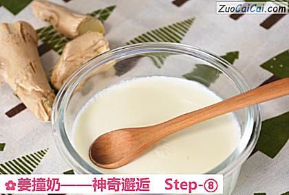 姜撞奶做法第八步骤