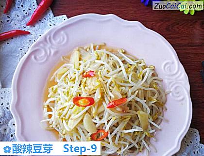 酸辣豆芽成品图1