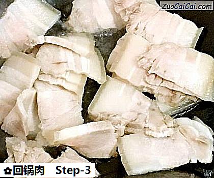 回锅肉做法第三步骤