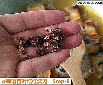 啤酒百叶结红烧肉做法第八步骤