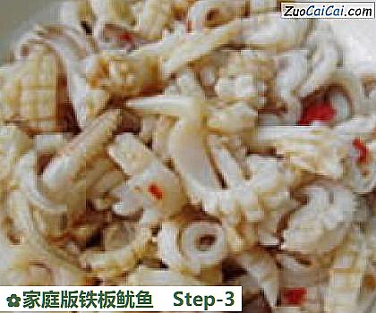 家庭版铁板鱿鱼做法第三步骤