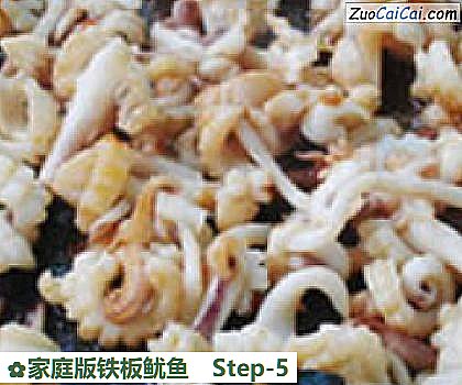 家庭版铁板鱿鱼做法第五步骤