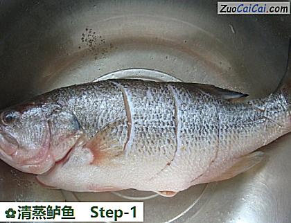 清蒸鲈鱼做法第一步骤