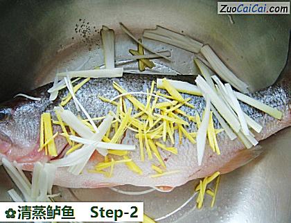 清蒸鲈鱼做法第二步骤