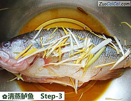 清蒸鲈鱼做法第三步骤